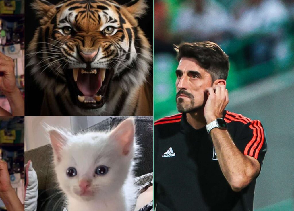 "Con MEME de gatito" Así se burlan de Tigres tras eliminación en la Leagues Cup 2024