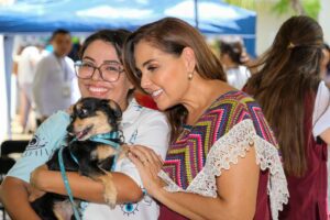 Campana de esterilizacion gratis para perros y gatos en Cancun 2