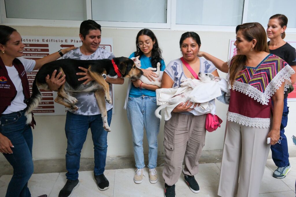 Campaña de esterilización gratis para perros y gatos en Cancún