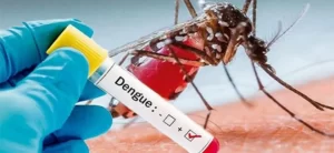 Casi 35 mil casos de dengue en Mexico en lo que va de 2024