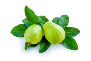 Los beneficios nutricionales de las hojas de guayaba