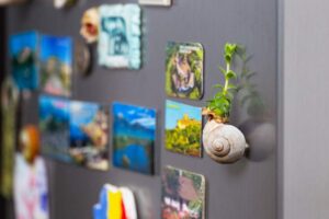 ¿Los images gastan energía en el refrigerador?