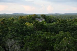 Así luce el Museo de Sitio de Calakmul en Campeche (FOTOS)