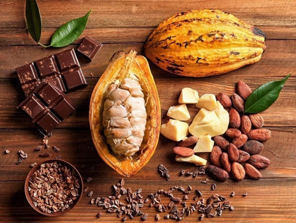 2 de septiembre Día Nacional del Cacao y el Chocolate, ¿Por qué se celebra?