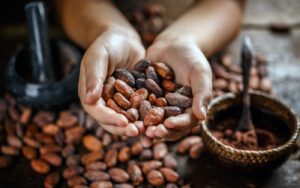 2 de septiembre Dia Nacional del Cacao y el Chocolate Por que se celebra