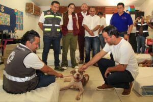 99 refugios en Quintana Roo se activan por Helene cinco son para mascotas 1