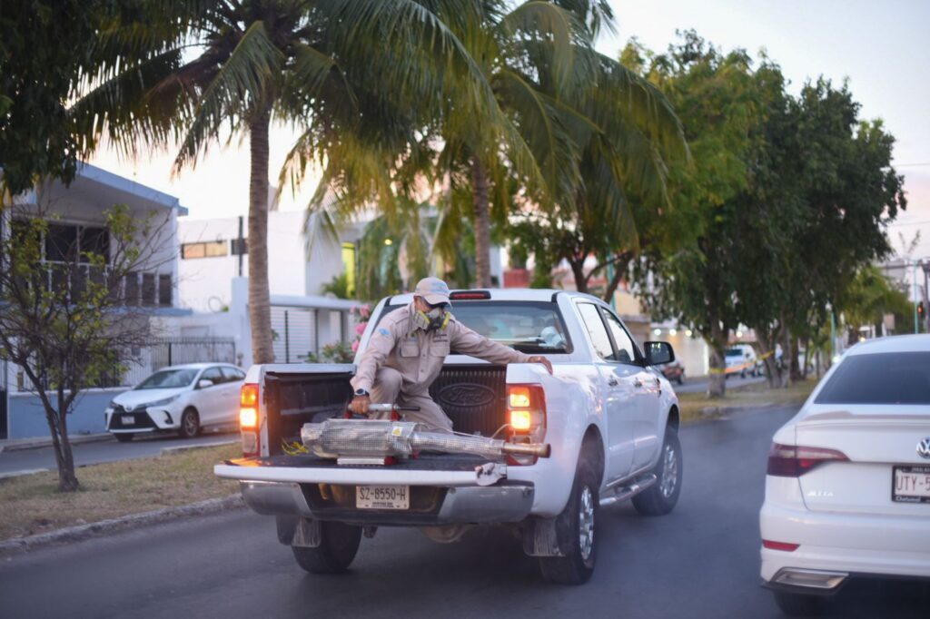 Disminuyen casos de dengue en Quintana Roo en comparación a 2023