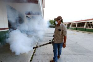 Disminuyen casos de dengue en Quintana Roo en comparacion a 2023