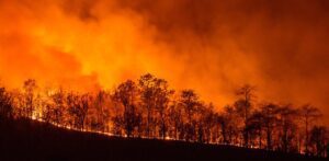 Incendios en el Amazonas 