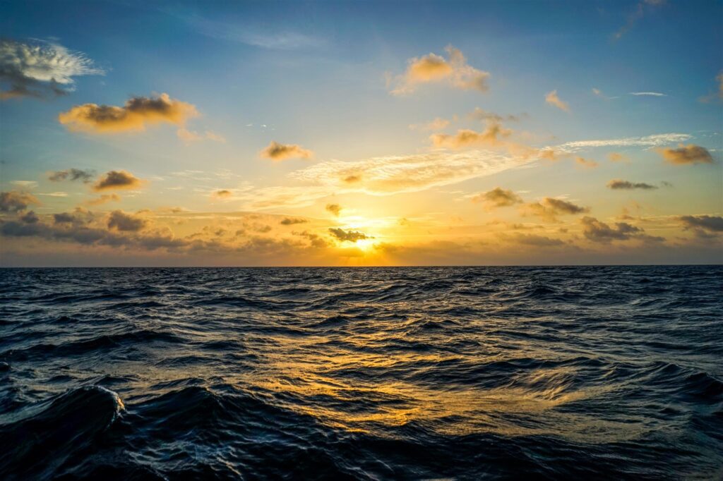 El mar es uno solo ¡Cuidémoslo! FOTO CORTESÍA