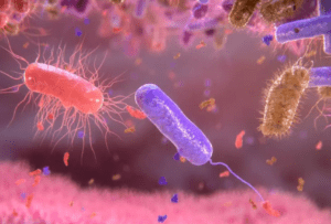 ¿Qué es Clostridium Difficile, la bacteria que contrajo André Marín? foto cortesía