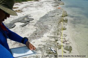 Un sitio arqueológico poco conocido de Campeche 