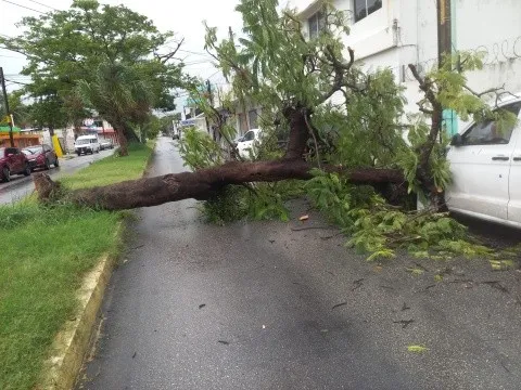 Daños materiales en Quintana Roo por el paso de Nadine