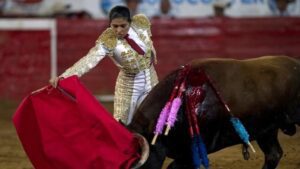 ¿Fin a las corridas de toros? Esto dijo Sheinbaum sobre protección animal