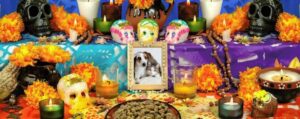 ¿Cuándo se conmemora el Día de Muertos para mascotas?