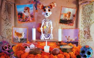 ¿Cuándo se conmemora el Día de Muertos para mascotas?