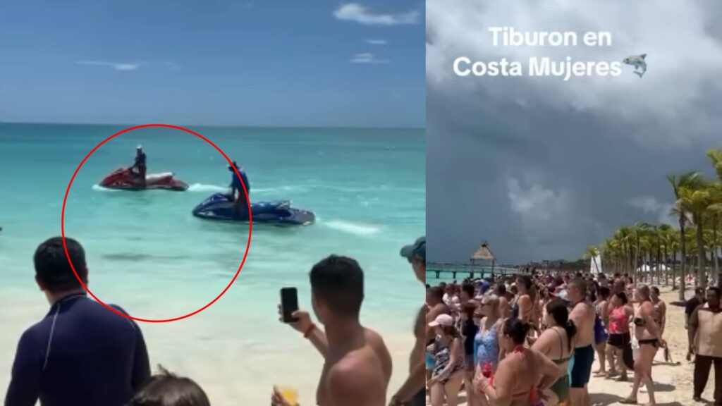 VIDEO: Tiburón en playa de Costa Mujeres en Cancún