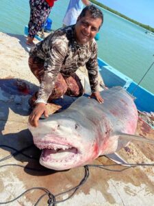 Exigen castigo a pescadores de tiburón 