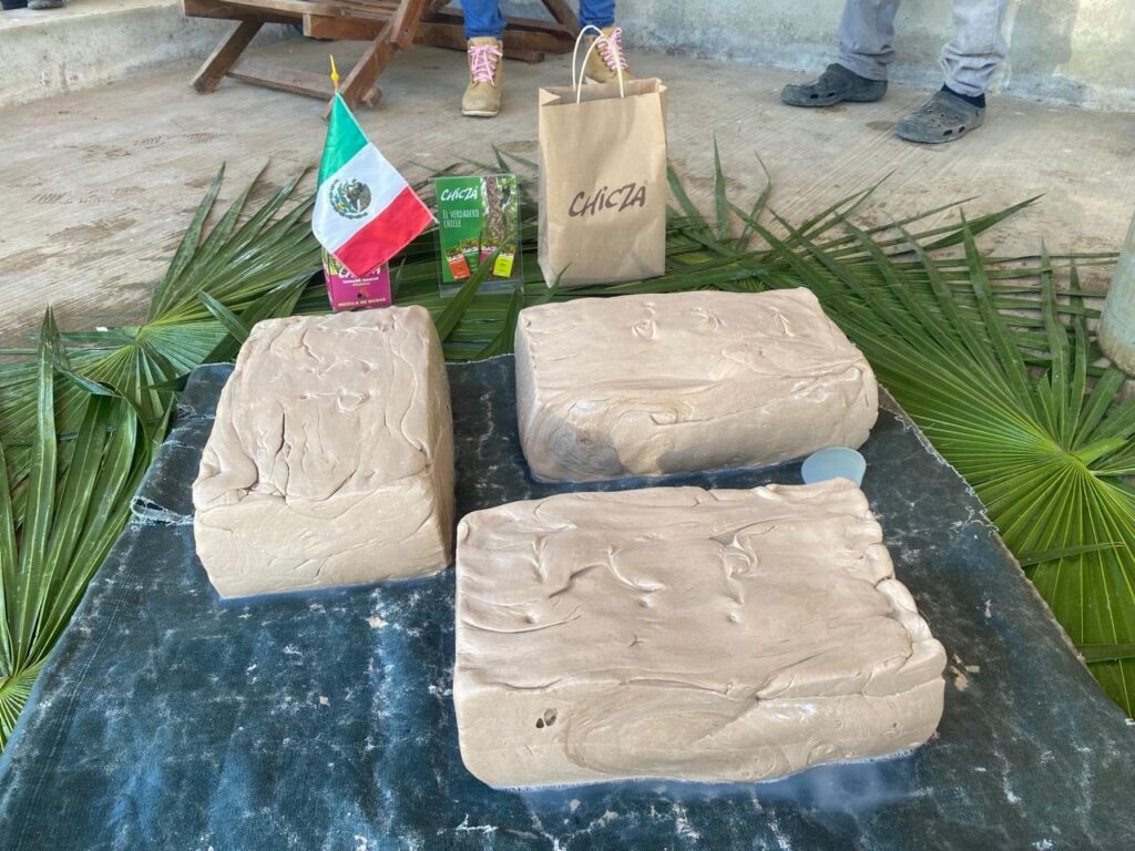 Quintana Roo obtiene Indicación Geográfica del Chicle Maya