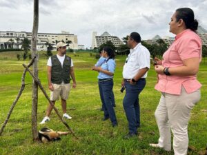 Dirección General de Ecología rescata a oso hormiguero herido en Cancún