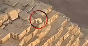 Perrito y sus amigos escalan la Pirámide de Giza 