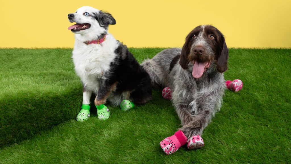 Crocs lanza sandalias para perros con diseño personalizable