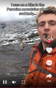 Perrito callejero rescata a influencer que se perdió en una montaña