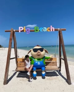 Pig Beach no existe más en Yucatán 