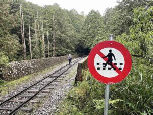 Tren atropella a turista que se tomaba una selfie cerca de las vías