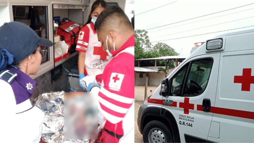 Bebé recién nacido abandonado fue rescatado en parque de Cancún