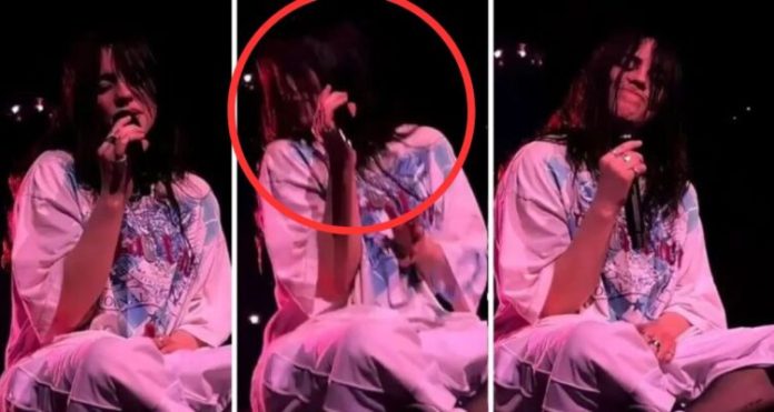 billie elish soy independiente 696x371 1