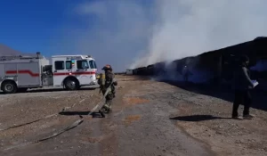 Incendio mata 12 mil aves encerradas en una granja 