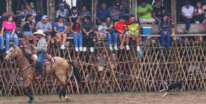 Vaquero somete a un perrito como si fuera un toro dentro de un ruedo