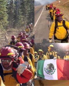 Bomberos mexicanos se unen a combatir incendios en California 