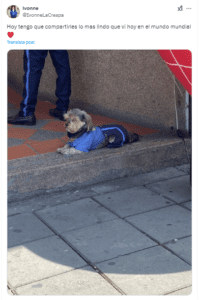 Perrito luce uniformado para ir a trabajar con su dueño 