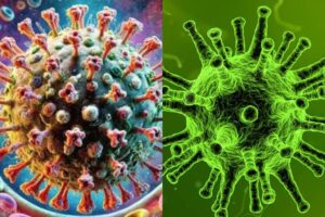 Dos casos de metapneumovirus humano detectados en Nuevo León