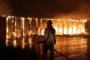 Museo del Conejo se consume tras fuerte incendio en California