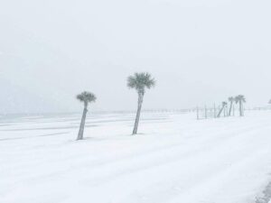 Histórica Tormenta Invernal azota Estados Unidos