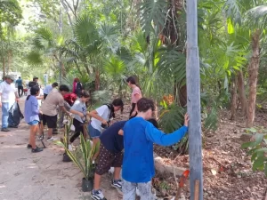 Inicia programa de reforestacion en el Parque Kabah de Cancun