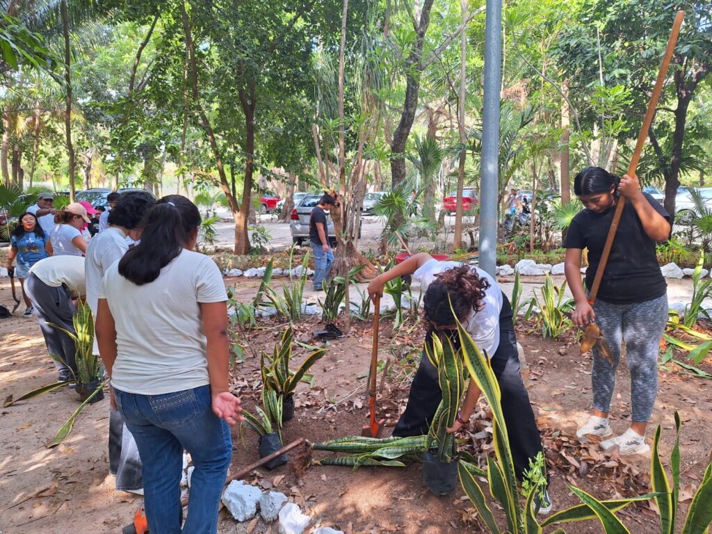 Inicia programa de reforestación en el Parque Kabah de Cancún