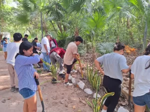 Inicia programa de reforestacion en el Parque Kabah de Cancun.