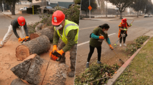 Migrantes se unen para ayudar en zonas afectadas por incendios en California