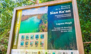 Sian Kaan 39 anos de ser Reserva de la Biosfera