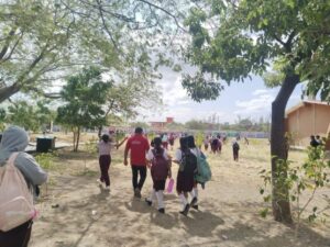 Enjambre de abejas ataca a 15 personas en una secundaria 