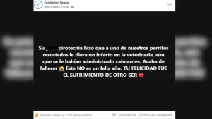 fundacion bruno facebook muerte perrito 2