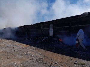 Incendio mata 12 mil aves encerradas en una granja 