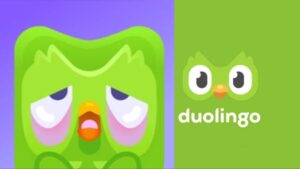 Muere el búho verde de Duolingo