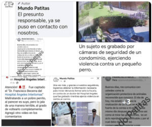 Denuncian a médico que maltrata a su perrito y lo exponen en redes 