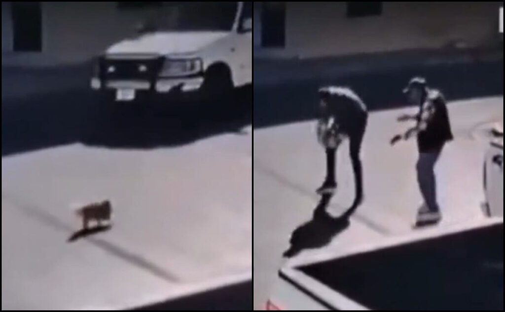 Dueño de perro atropellado golpea a abuelito (VIDEO)