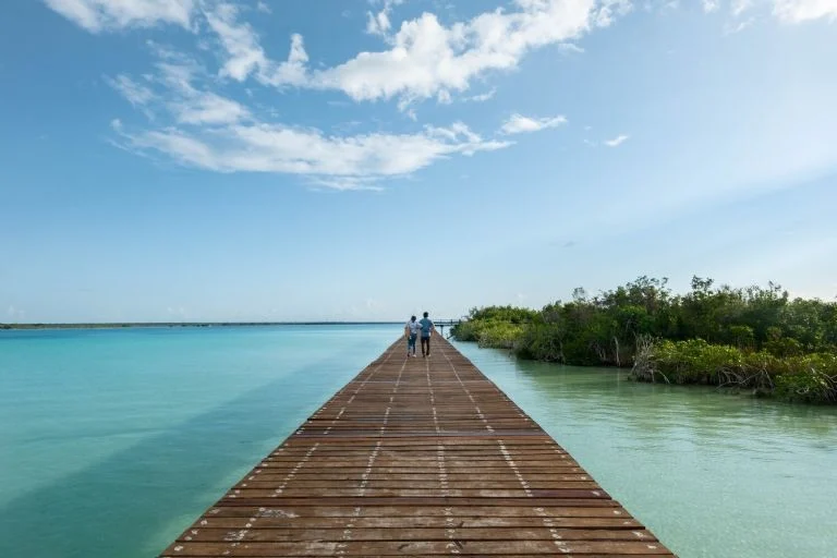 Ecoparque de Bacalar busca premio Mies Crown Hall Americas Prize